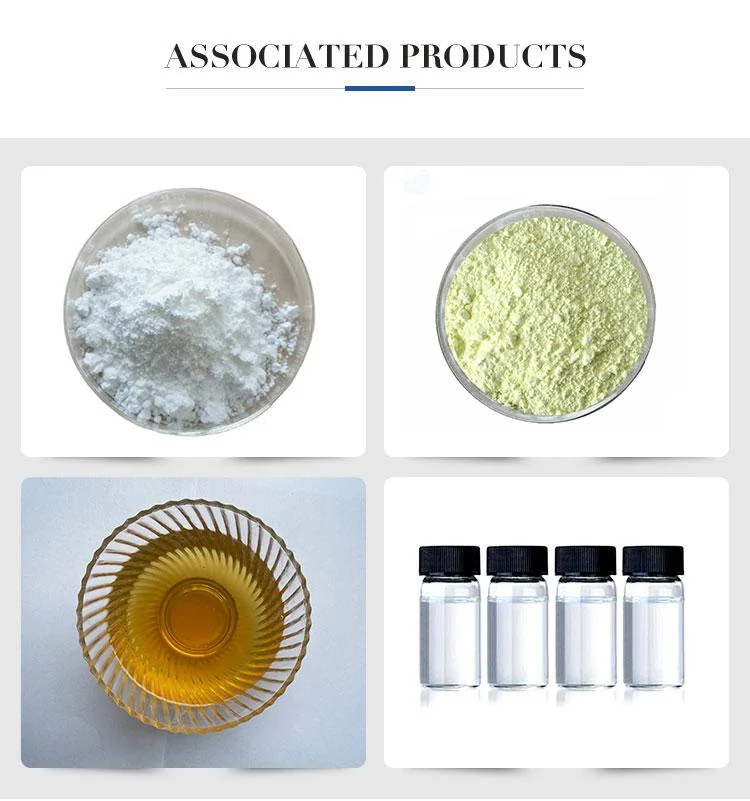 High Quality Zirconium (IV) Acetylacetonate / Tetrakis (2, 4-pentanedionato) Zirconium / CAS 17501-44-9